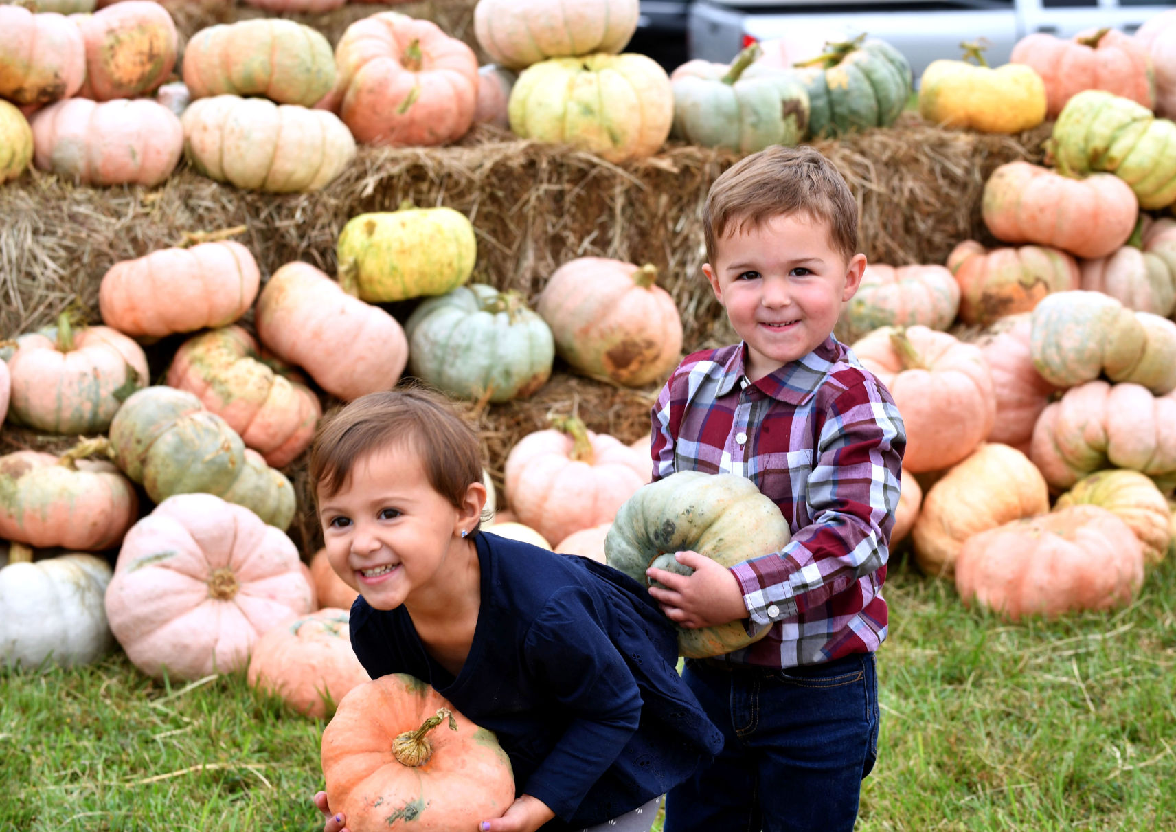 NEW BR.pinkpumpkins.100919 TS 188.jpg
